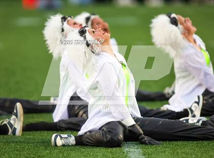 Thumbnail 1 in San Juan Royals "Einstein" photogallery.