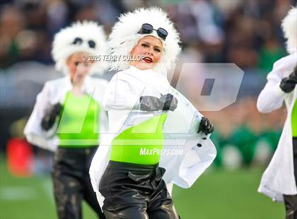 Thumbnail 2 in San Juan Royals "Einstein" photogallery.