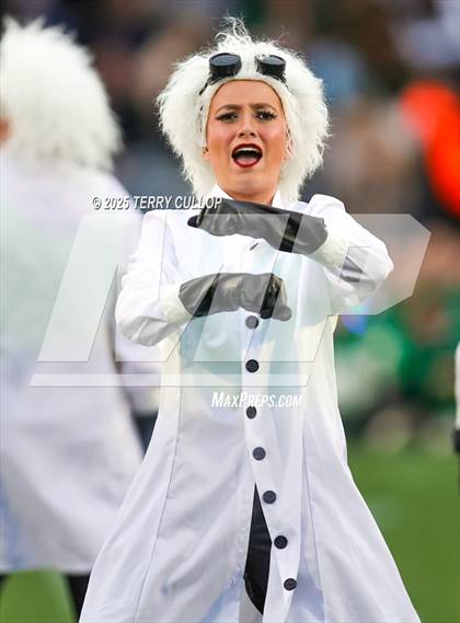 Thumbnail 3 in San Juan Royals "Einstein" photogallery.