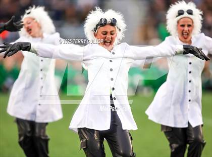 Thumbnail 1 in San Juan Royals "Einstein" photogallery.