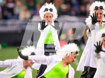 Thumbnail 2 in San Juan Royals "Einstein" photogallery.