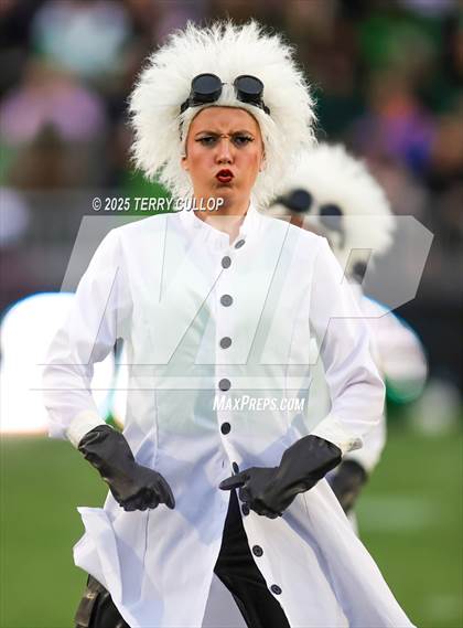 Thumbnail 1 in San Juan Royals "Einstein" photogallery.