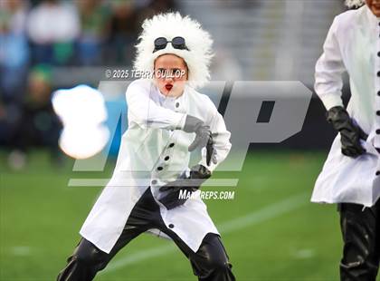 Thumbnail 2 in San Juan Royals "Einstein" photogallery.