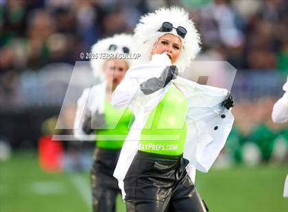 Thumbnail 1 in San Juan Royals "Einstein" photogallery.