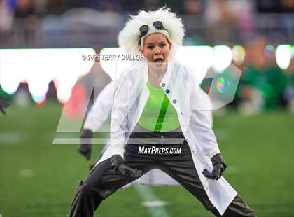 Thumbnail 3 in San Juan Royals "Einstein" photogallery.