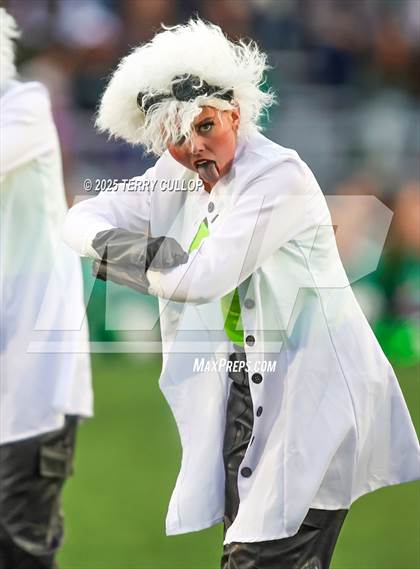 Thumbnail 2 in San Juan Royals "Einstein" photogallery.