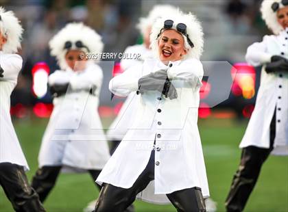 Thumbnail 3 in San Juan Royals "Einstein" photogallery.