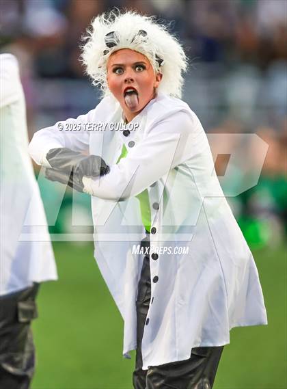 Thumbnail 1 in San Juan Royals "Einstein" photogallery.