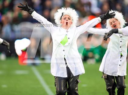 Thumbnail 1 in San Juan Royals "Einstein" photogallery.