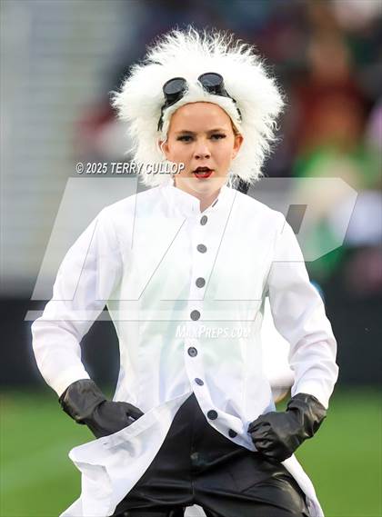 Thumbnail 3 in San Juan Royals "Einstein" photogallery.