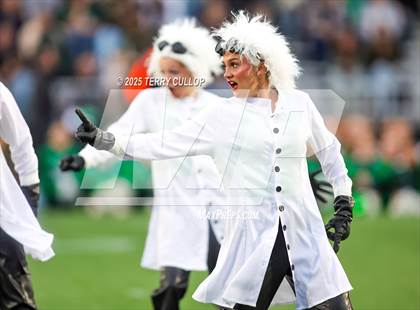 Thumbnail 2 in San Juan Royals "Einstein" photogallery.