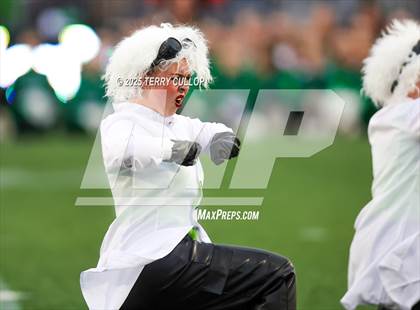 Thumbnail 2 in San Juan Royals "Einstein" photogallery.