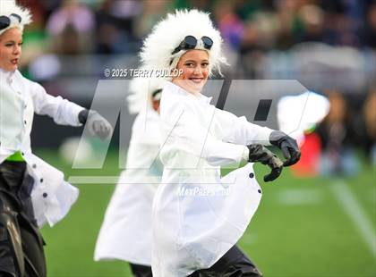 Thumbnail 1 in San Juan Royals "Einstein" photogallery.