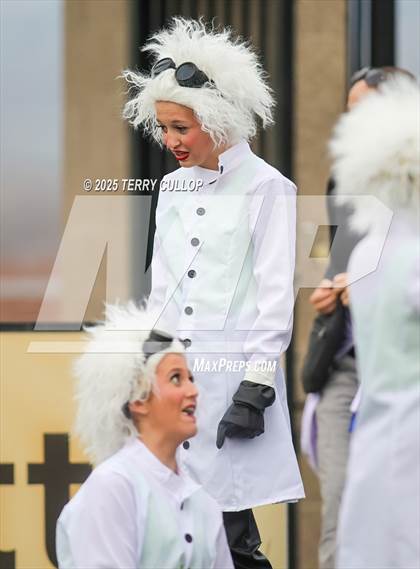 Thumbnail 3 in San Juan Royals "Einstein" photogallery.