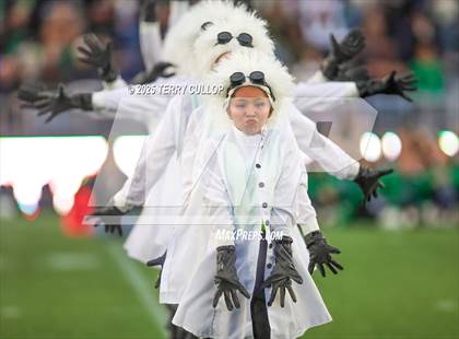 Thumbnail 2 in San Juan Royals "Einstein" photogallery.