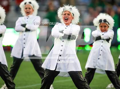 Thumbnail 2 in San Juan Royals "Einstein" photogallery.