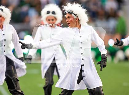 Thumbnail 3 in San Juan Royals "Einstein" photogallery.