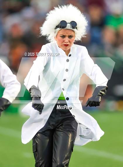 Thumbnail 1 in San Juan Royals "Einstein" photogallery.