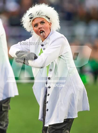 Thumbnail 2 in San Juan Royals "Einstein" photogallery.