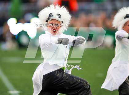 Thumbnail 1 in San Juan Royals "Einstein" photogallery.