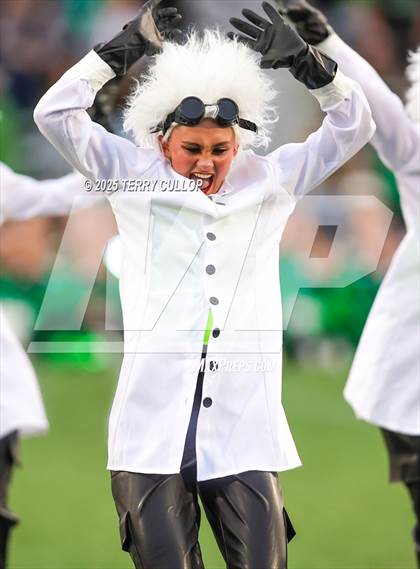 Thumbnail 3 in San Juan Royals "Einstein" photogallery.