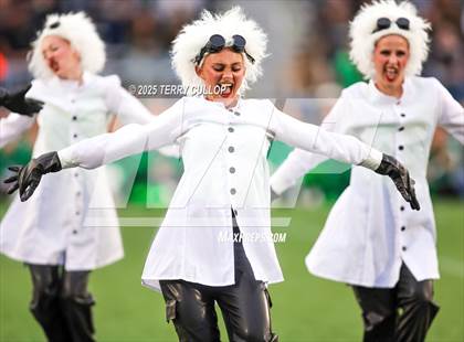 Thumbnail 2 in San Juan Royals "Einstein" photogallery.