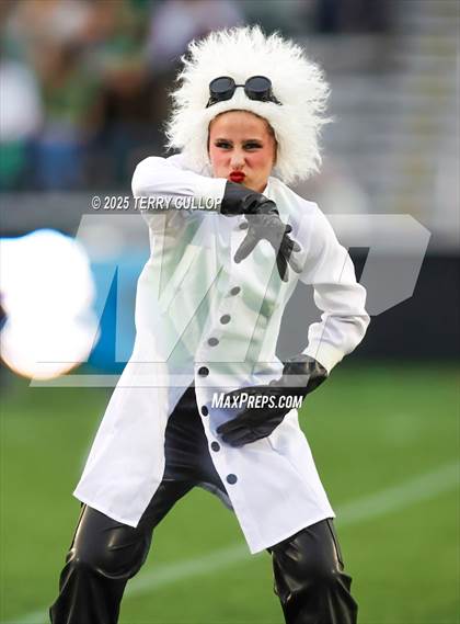 Thumbnail 1 in San Juan Royals "Einstein" photogallery.