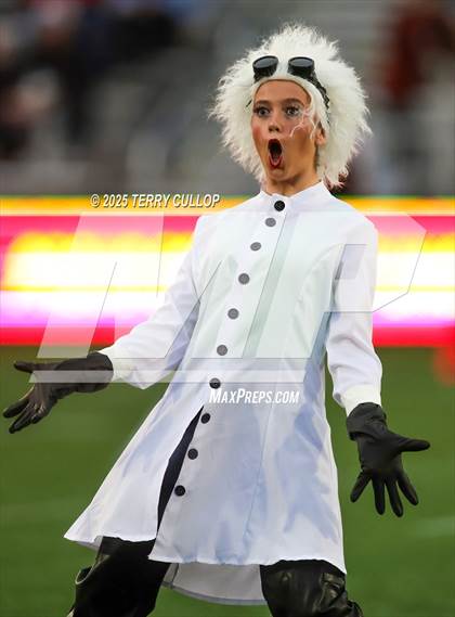 Thumbnail 1 in San Juan Royals "Einstein" photogallery.