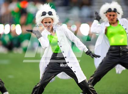 Thumbnail 1 in San Juan Royals "Einstein" photogallery.