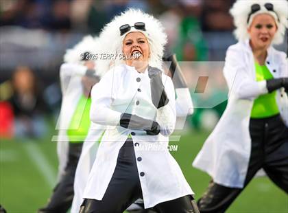 Thumbnail 1 in San Juan Royals "Einstein" photogallery.