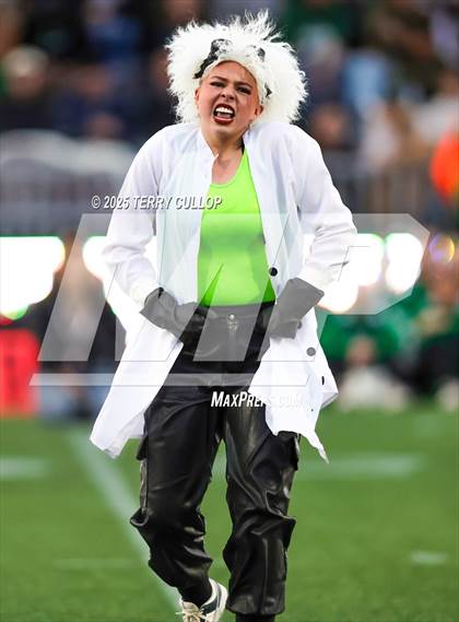 Thumbnail 2 in San Juan Royals "Einstein" photogallery.