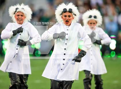 Thumbnail 2 in San Juan Royals "Einstein" photogallery.