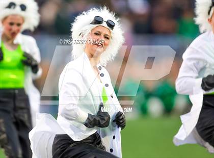 Thumbnail 3 in San Juan Royals "Einstein" photogallery.