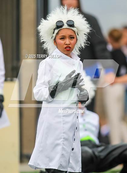 Thumbnail 1 in San Juan Royals "Einstein" photogallery.