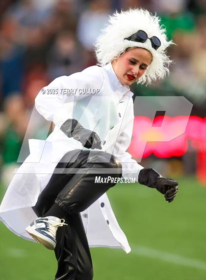 Thumbnail 3 in San Juan Royals "Einstein" photogallery.