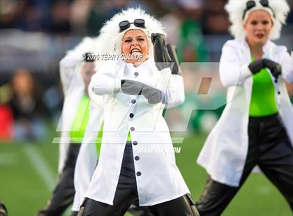 Thumbnail 3 in San Juan Royals "Einstein" photogallery.