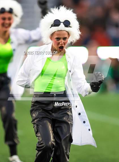 Thumbnail 1 in San Juan Royals "Einstein" photogallery.