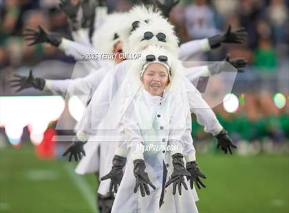 Thumbnail 3 in San Juan Royals "Einstein" photogallery.