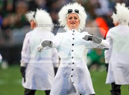 Thumbnail 1 in San Juan Royals "Einstein" photogallery.