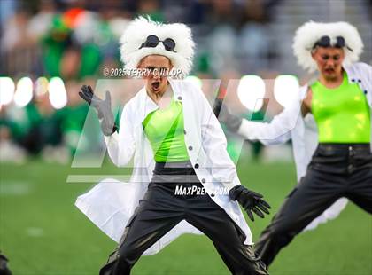 Thumbnail 3 in San Juan Royals "Einstein" photogallery.