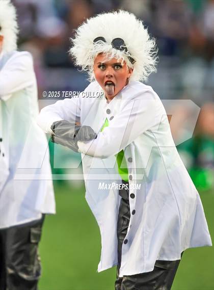 Thumbnail 3 in San Juan Royals "Einstein" photogallery.