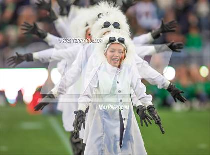 Thumbnail 1 in San Juan Royals "Einstein" photogallery.