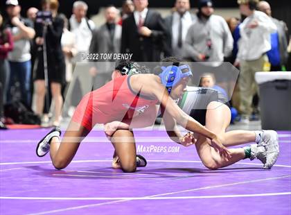 Thumbnail 3 in UIL State Championships - 6A 110lb Final photogallery.