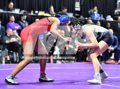 Thumbnail 1 in UIL State Championships - 6A 110lb Final photogallery.