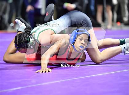 Thumbnail 2 in UIL State Championships - 6A 110lb Final photogallery.