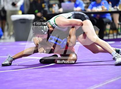 Thumbnail 1 in UIL State Championships - 6A 110lb Final photogallery.