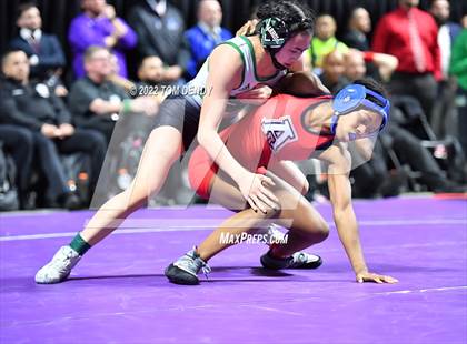 Thumbnail 3 in UIL State Championships - 6A 110lb Final photogallery.