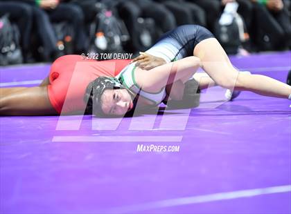 Thumbnail 2 in UIL State Championships - 6A 110lb Final photogallery.
