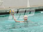 Photo from the gallery "Lick-Wilmerding @ Hillsdale (Battle of the Bay)"