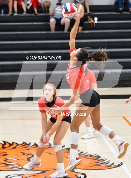 Thumbnail 2 in Argyle @ Springtown photogallery.